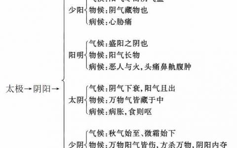 论中医脉学中寸口脉"三部九候"的重大意义