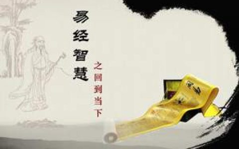 关于地支对应人体内脏器官的论述