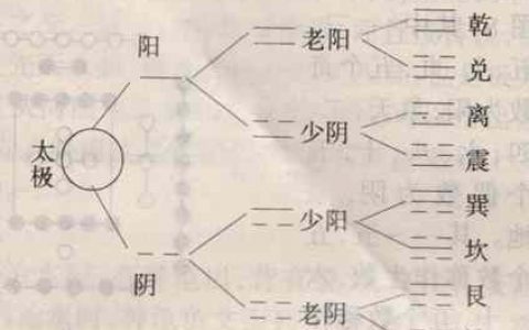禅悟之《周易》与《道德经》及一元宇宙全息律