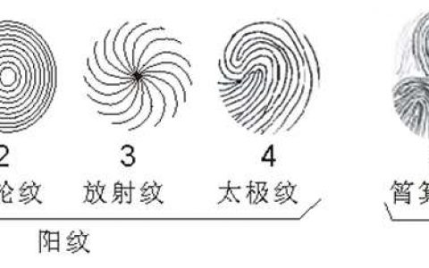 浅谈《命理卦相真经》