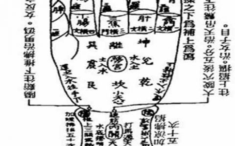 九宫手诊脏腑图的定位及诊断中的意义