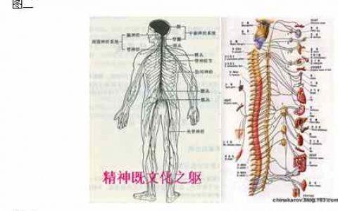 《易经》基础术语的现代解析
