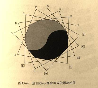 揭开《道德经》中的宇宙奥秘（导读-谢陆鸣著）